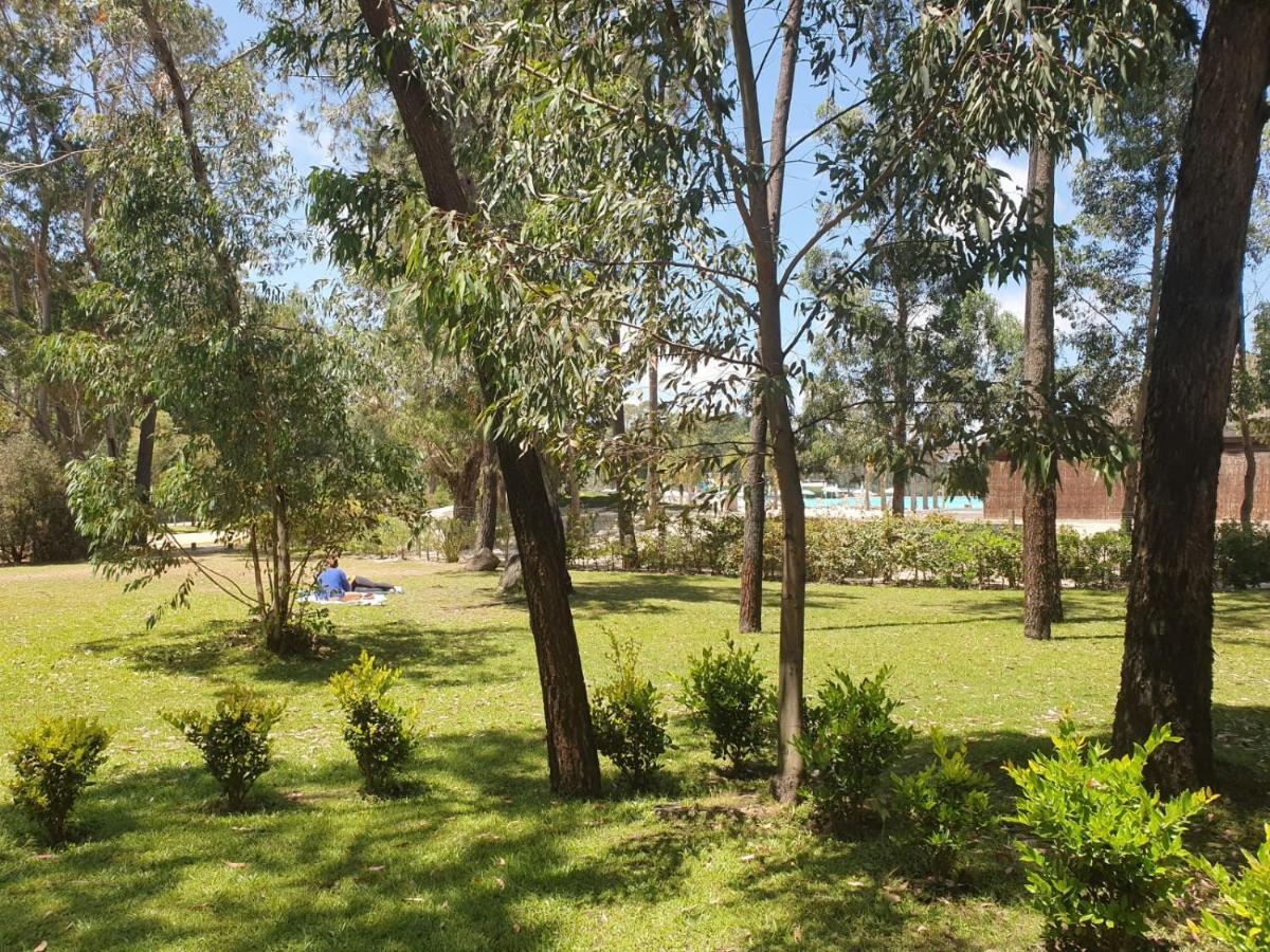 Punta Del Este, Forest Lagoon, Luxury Luaran gambar
